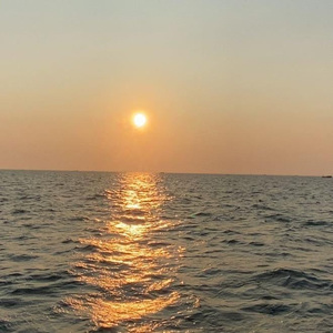 男女床上啪啪啪视频免费观看
