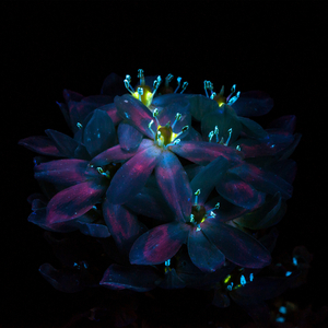 男女床上啪啪啪视频免费观看
